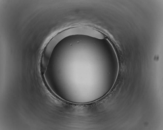 X0000096151512200801181150