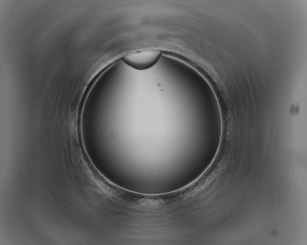 X0000096151513200801181150