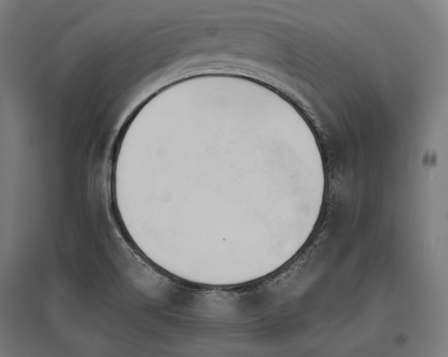 X0000096151514200801181150