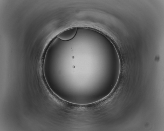 X0000096151517200801181150