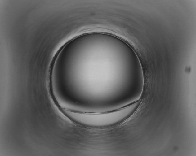 X0000096151518200801181150