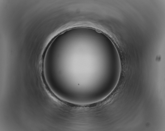 X0000096151519200801181150