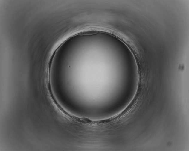 X0000096151520200801181150