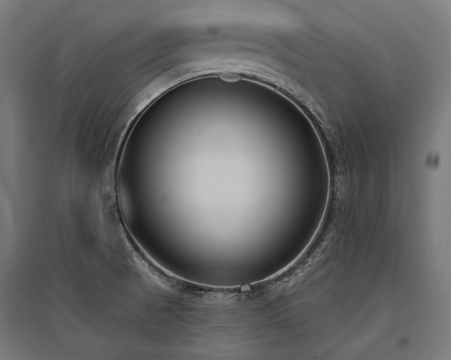 X0000096151521200801181150