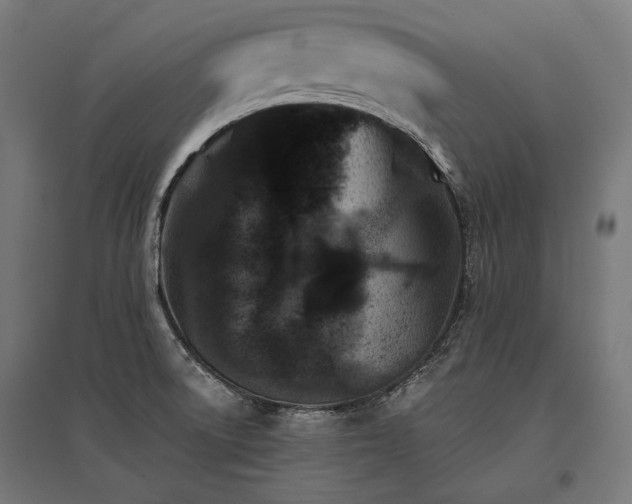 X0000096151522200801181150