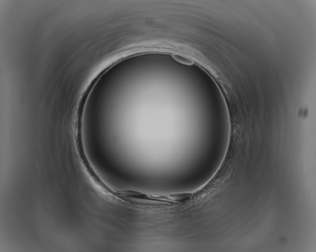 X0000096151523200801181150