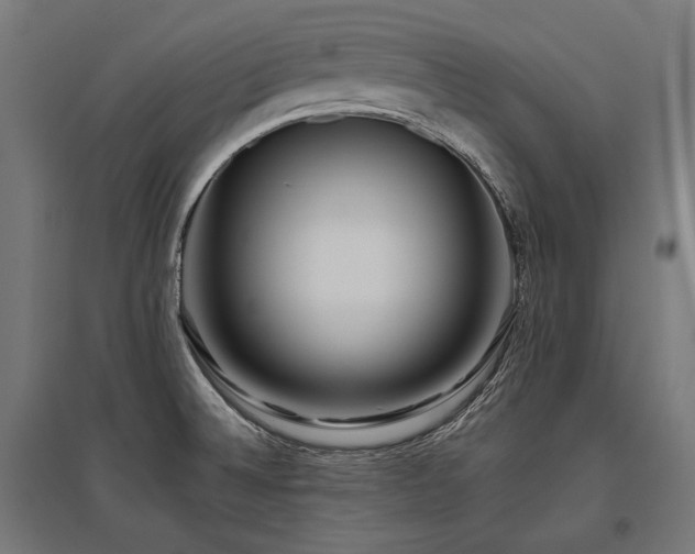 X0000096151524200801181151