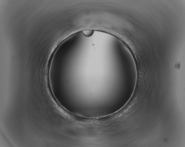 X0000096151525200801181151