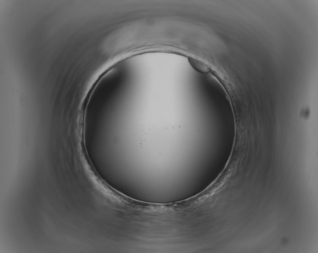 X0000096151526200801181151