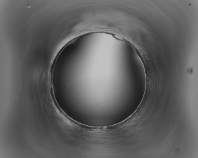 X0000096151527200801181151