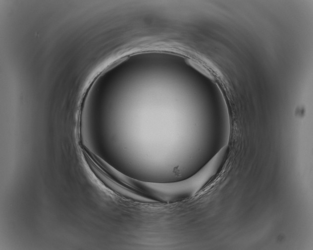 X0000096151528200801181151