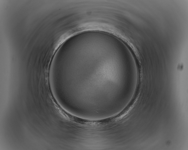 X0000096151529200801181151