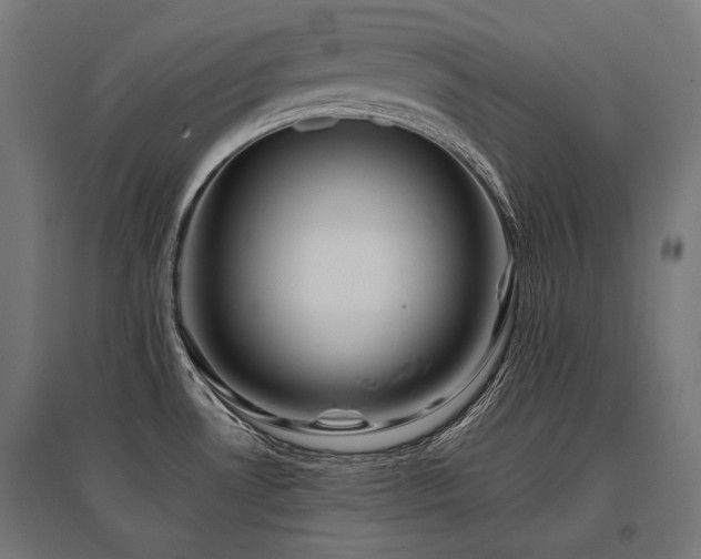 X0000096151530200801181151