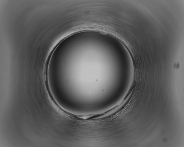 X0000096151531200801181151