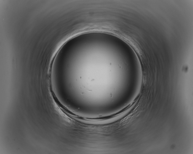 X0000096151532200801181151