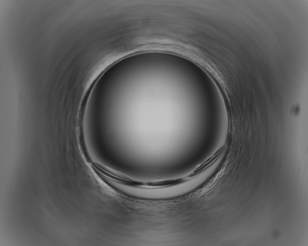X0000096151533200801181151