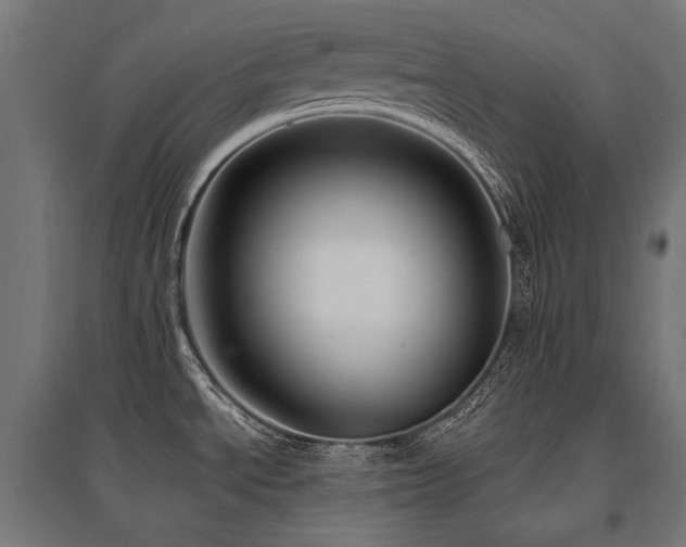 X0000096151534200801181151