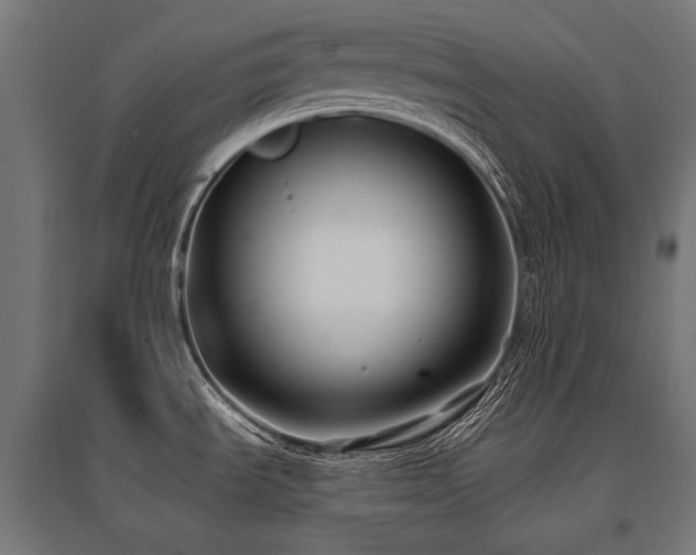 X0000096151535200801181151