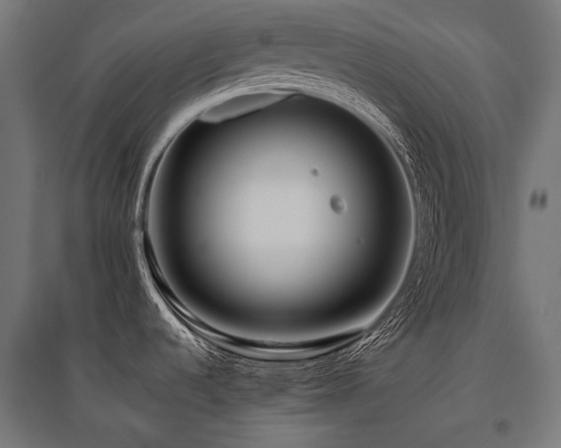 X0000096151536200801181151