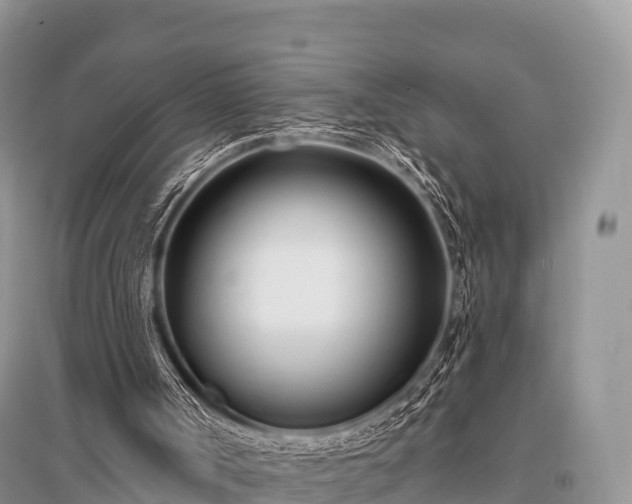 X0000096150002200801251115