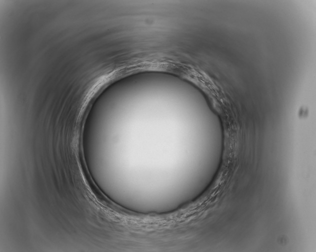 X0000096150003200801251115