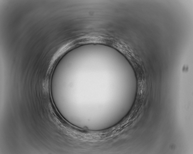 X0000096150004200801251115