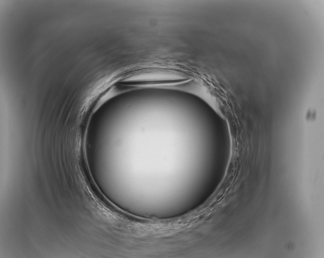 X0000096150005200801251115