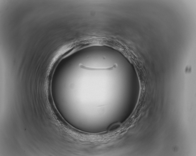 X0000096150006200801251115