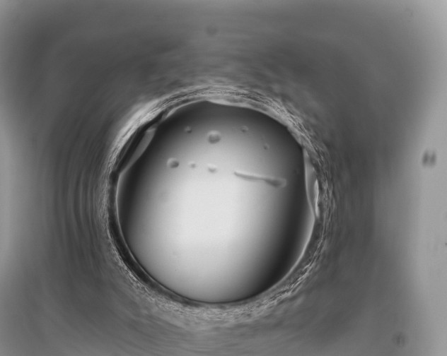 X0000096150007200801251115