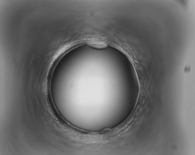 X0000096150008200801251115