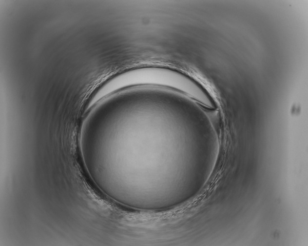 X0000096150009200801251115