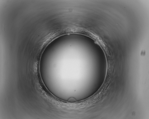 X0000096150010200801251115