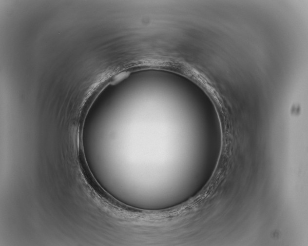 X0000096150011200801251115