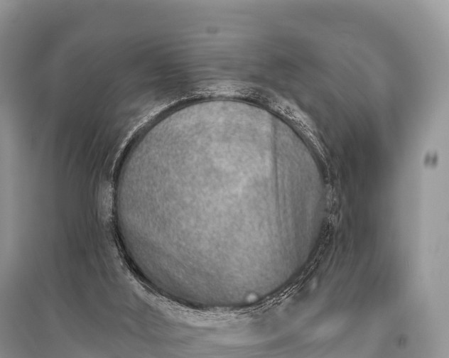 X0000096150012200801251115