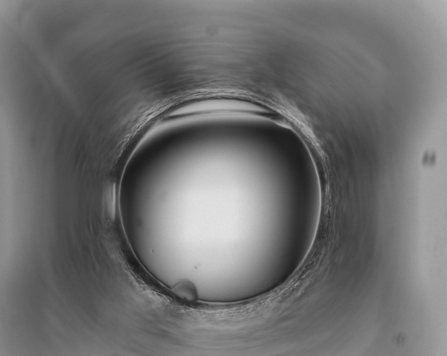 X0000096150013200801251115