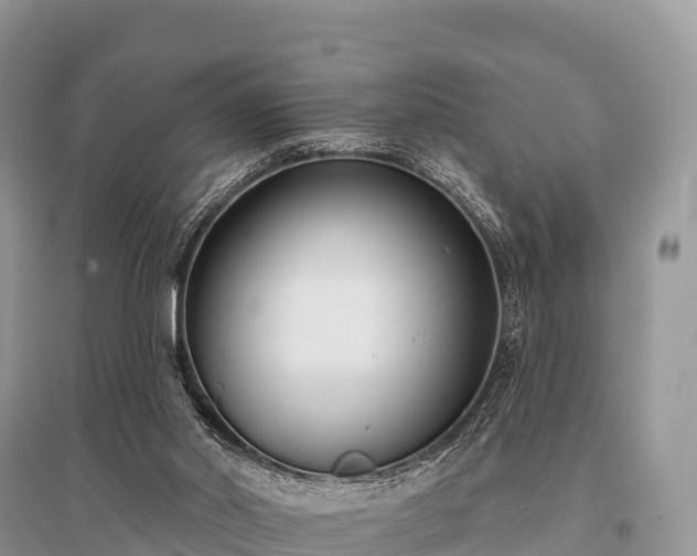 X0000096150014200801251115