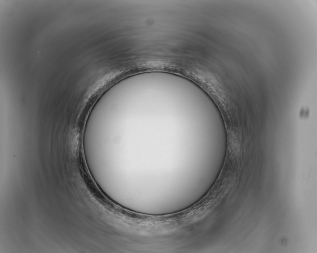 X0000096150016200801251115