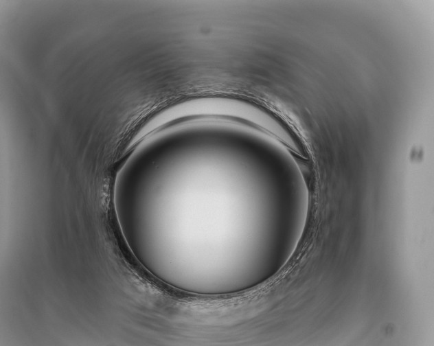 X0000096150017200801251115