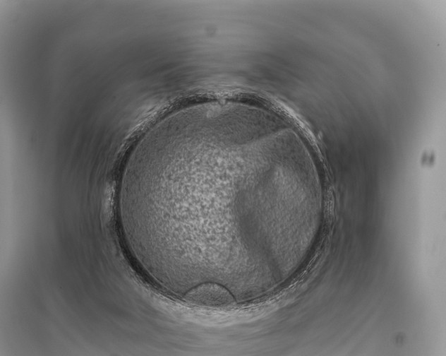 X0000096150018200801251115