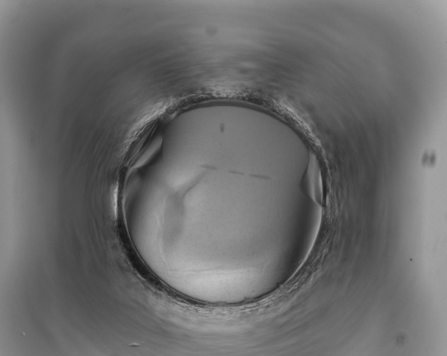 X0000096150019200801251115