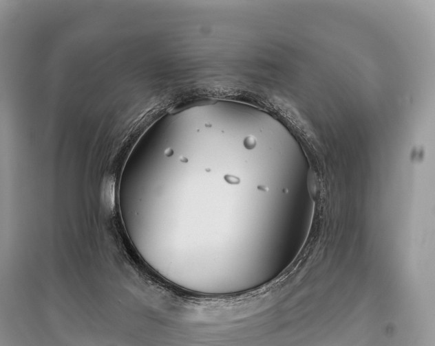 X0000096150021200801251115