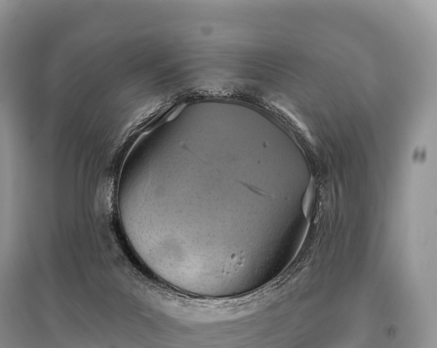 X0000096150023200801251115