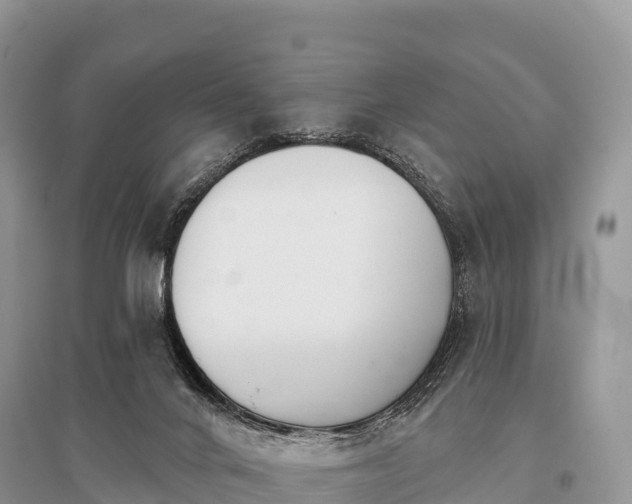 X0000096150024200801251115