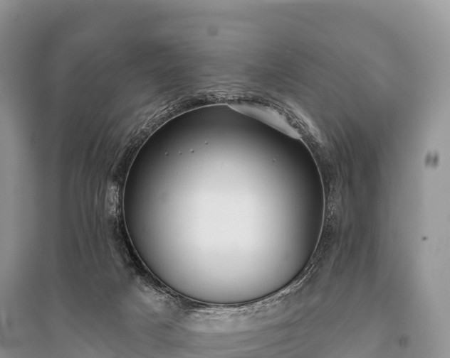 X0000096150025200801251115