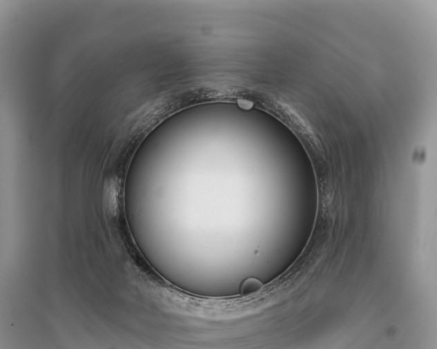 X0000096150026200801251115