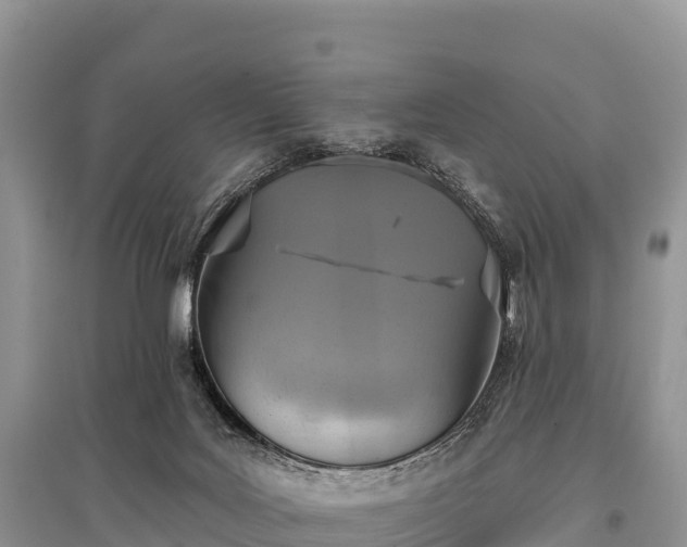 X0000096150027200801251115