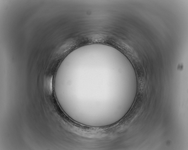 X0000096150028200801251115