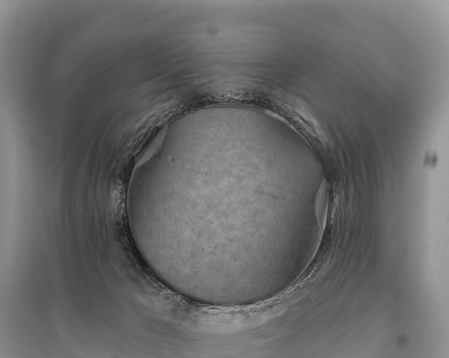 X0000096150029200801251115