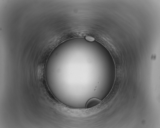 X0000096150030200801251115