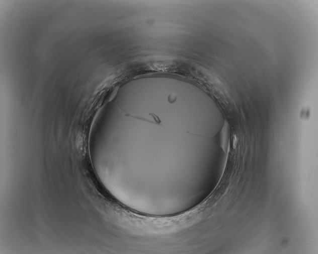 X0000096150031200801251115